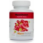 MycoMedica MycoCholest 120 kapslí – Zboží Dáma