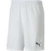 Dětské kraťasy a šortky Puma teamGOAL 23 knit shorts jr 70426310