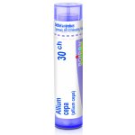ALLIUM CEPA POR 30CH GRA 1X4G – Hledejceny.cz