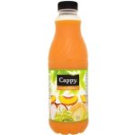 Cappy džus Multivitamin 1 l – Hledejceny.cz