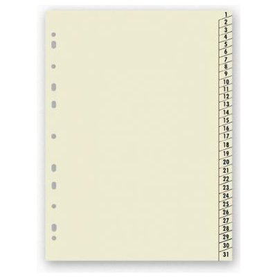 Rozdružovač A4 číselný 1-31 – Zboží Živě