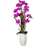 Orchidej Můrovec fialová, aranžmá ve váze, 160cm – Sleviste.cz