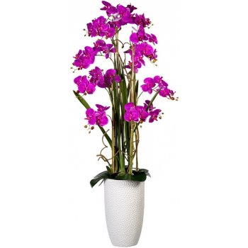 Orchidej Můrovec fialová, aranžmá ve váze, 160cm