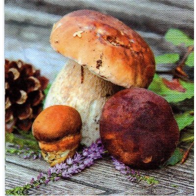 Ubrousek 33x33 HOUBY – Hledejceny.cz