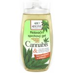 Bione Cosmetics Cannabis regenerační zklidňující sprchový gel 260 ml – Zbozi.Blesk.cz