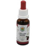 Salvia Paradise Kanadská brusinka lyofilizovaná AF tinktura 30 ml – Hledejceny.cz