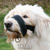 Výcvik psů Trixie Nylonový náhubek podložený xl 23-34 cm