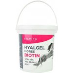 Hyalgel Horse BIOTIN 0,9 kg – Zbozi.Blesk.cz