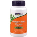 Now Foods Ginger Root Extract Kořen zázvoru 250 mg x 90 rostlinných kapslí – Hledejceny.cz
