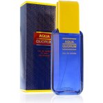 Antonio Puig Agua Quorum toaletní voda pánská 100 ml – Hledejceny.cz
