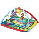 Baby Einstein Caterpillar & Friends Play Gym