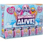 Spin Master Hatchimals líhnoucí se zvířátka ve vodě karton – Zboží Dáma