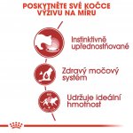 Royal Canin Instinctive jelly 12 x 85 g – Sleviste.cz