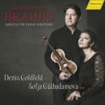 Brahms Johannes - Complete Sonatas For Piano CD – Hledejceny.cz