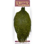 Whiting Hackles Whiting Kohoutí Skalp Coq de Leon Rooster Cape Grizzly Dyed Olive – Hledejceny.cz