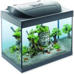 Tetra Starter Shrimp Line LED akvarijní set 44 x 37 x 30 cm, 30 l – Zboží Mobilmania