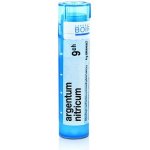 ARGENTUM NITRICUM POR 9CH GRA 1X4G – Hledejceny.cz