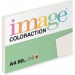 Coloraction A4 80 g 100 listů – Zbozi.Blesk.cz