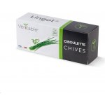 Véritable Lingot Pažitka - BIO – Zboží Dáma