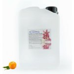PM Aqualog esence do parních kabin eukalyptus-pomeranč 953-003/D 3 l – Hledejceny.cz