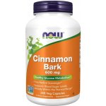 Now Foods Foods Skořice Cinnamon 600 mg 240 kapslí – Hledejceny.cz