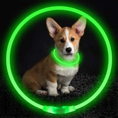 Reedog Full Light svítící obojek pro psy – Zboží Mobilmania