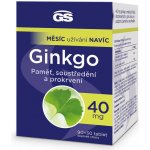 GS Ginkgo 40 mg 90+30 tablet – Hledejceny.cz