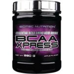 Scitec Nutrition BCAA Xpress 280 g – Zboží Mobilmania
