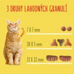 Friskies Adult Cat s hovězím kuřecím a zeleninou 10 kg – Zboží Dáma