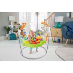 Fisher Price hopsadlo Rainforest Jumpeeroo – Sleviste.cz