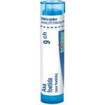 ASA FOETIDA POR 9CH GRA 1X4G – Hledejceny.cz
