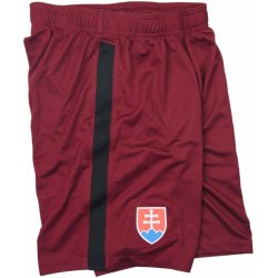 Nike SFZ M SHORT GK PR