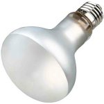 Trixie Mini Prosun Mixed D3 UV-B lampa 80 x 108 mm, 70 W – Zboží Dáma