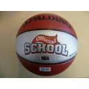 Spalding NBA School