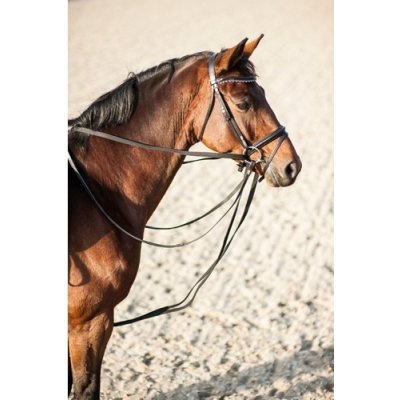 HorseGuard Otěže průvlečné černé – Zboží Dáma