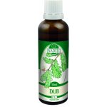 Naděje Dub bylinná tinktura z pupenů rostliny 50 ml – Hledejceny.cz