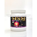 Nutri Star MSM 600 mg 500 kapslí – Hledejceny.cz