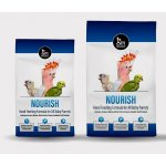 GM Breeders Hand Feeding Formula for Baby Birds 2 kg – Zboží Mobilmania