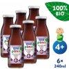 Dětská šťáva Salvest Põnn BIO Švestková šťáva s dužinou 6 x 240 ml