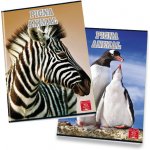 Pigna Školní sešit Animal A5 linkovaný – Hledejceny.cz