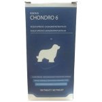 Univit Roboran Chondro 6 pro psy 180 tbl – Hledejceny.cz