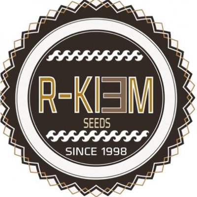 R-Kiem Seeds Muse semena neobsahují THC 10 ks