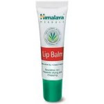 Himalaya Herbals Vyživující balzám na rty 4,5 g – Zboží Dáma