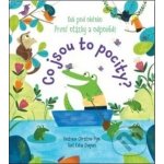 Co jsou to pocity? – Sleviste.cz