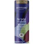 Attitude Balzám na rty kokos Leaves bar 8,5 g – Zboží Dáma