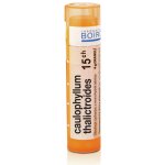 CAULOPHYLLUM THALICTROIDES POR 15CH GRA 1X4G – Hledejceny.cz