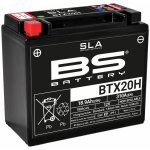 BS-Battery BTX20