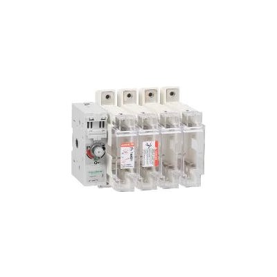Schneider Electric GS2NG4 Pojistkový odpínač 4P 250A Velikost 1 – Hledejceny.cz