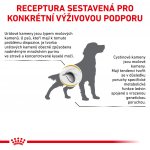 Royal Canin Veterinary Health Nutrition Dog Urinary U/C Low Purine 14 kg – Sleviste.cz