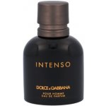 Dolce & Gabbana Intenso parfémovaná voda pánská 40 ml – Hledejceny.cz